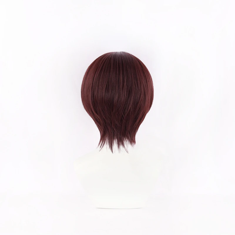 Anime WIND BREAKER Hayato Suo  - Anime Cosplay With Red Hair 评论和价格