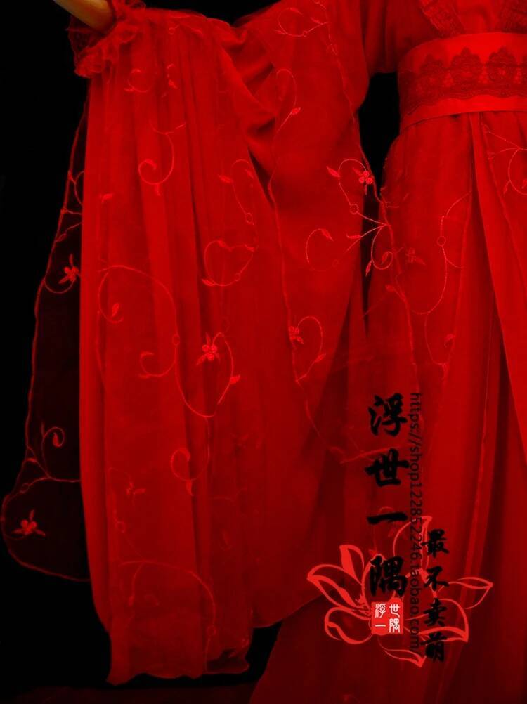 Jiang Zu Shi Mo Dao YanLi Cosp - Anime Cosplay In Chinese 评论和价格