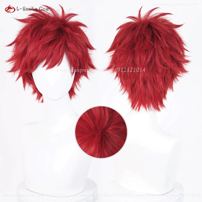 Anime Reinhard Van Astrea Cosp - Anime Cosplay With Red Hair 评论和价格
